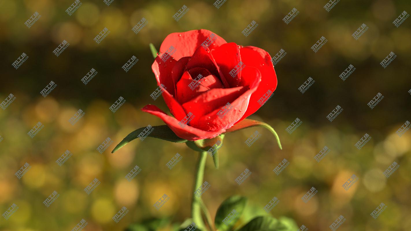 images/goods_img/20210114/Rose animated 3D model/2.jpg